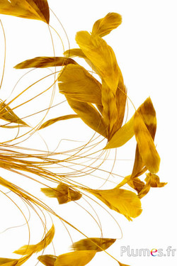 Coquetips cincillà sbiancati - 13-18 cm - giallo